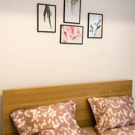 Paul's Place. New Rooftop In Downtown Apartment Sibiu